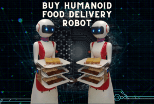 Buy Humanoid Food Delivery Robot