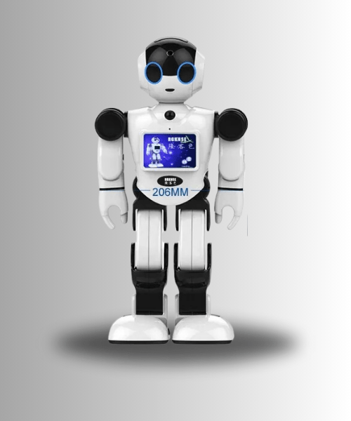 Humanoid Robot for Smart Home product image