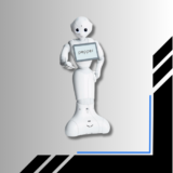 Intelligent Educational Humanoid Robot Product image