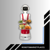 Humanoid Food Delivery Robot