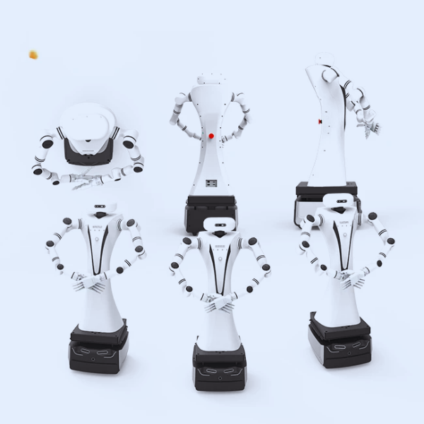 Two Arm robotics Service bot Product Image 4